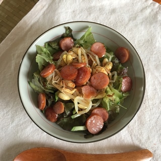 ウインナーとカネカの大豆もやしでビビンバ風飯♡